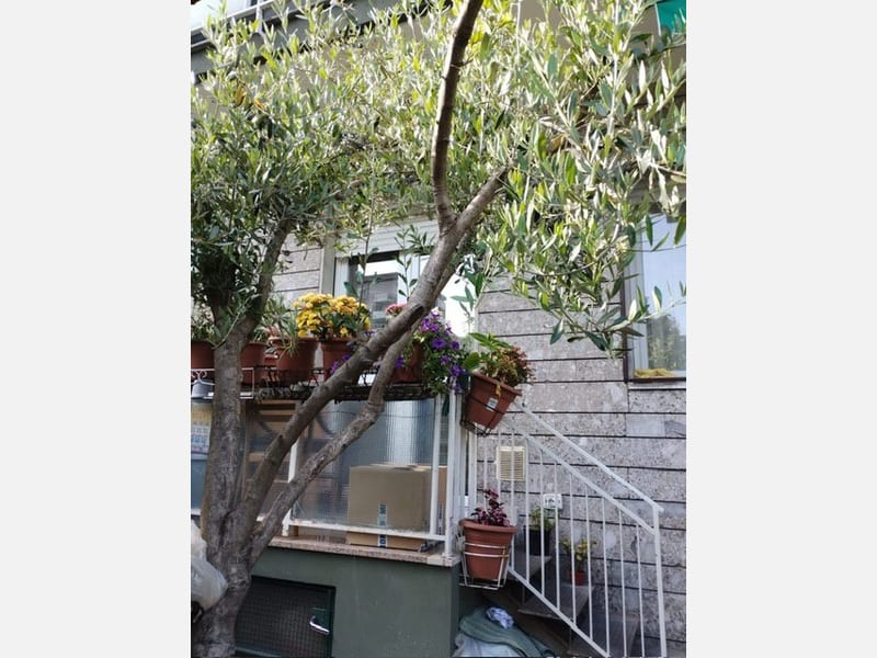 APPARTAMENTO in VENDITA a SESTO SAN GIOVANNI